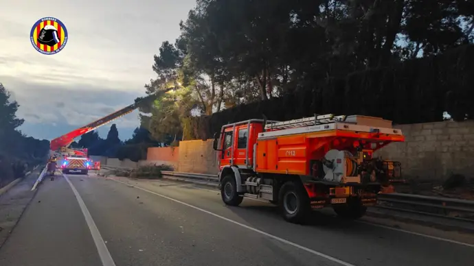 El consorcio de bomberos de Valencia realiza más de 1.000 intervenciones por viento en enero y