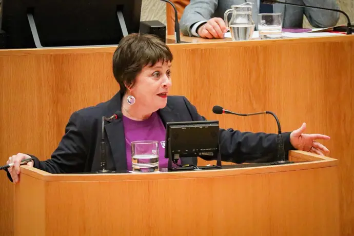 PP y Vox votan en contra de la PNL de IU para desarrollar la Ley contra la Violencia de Género