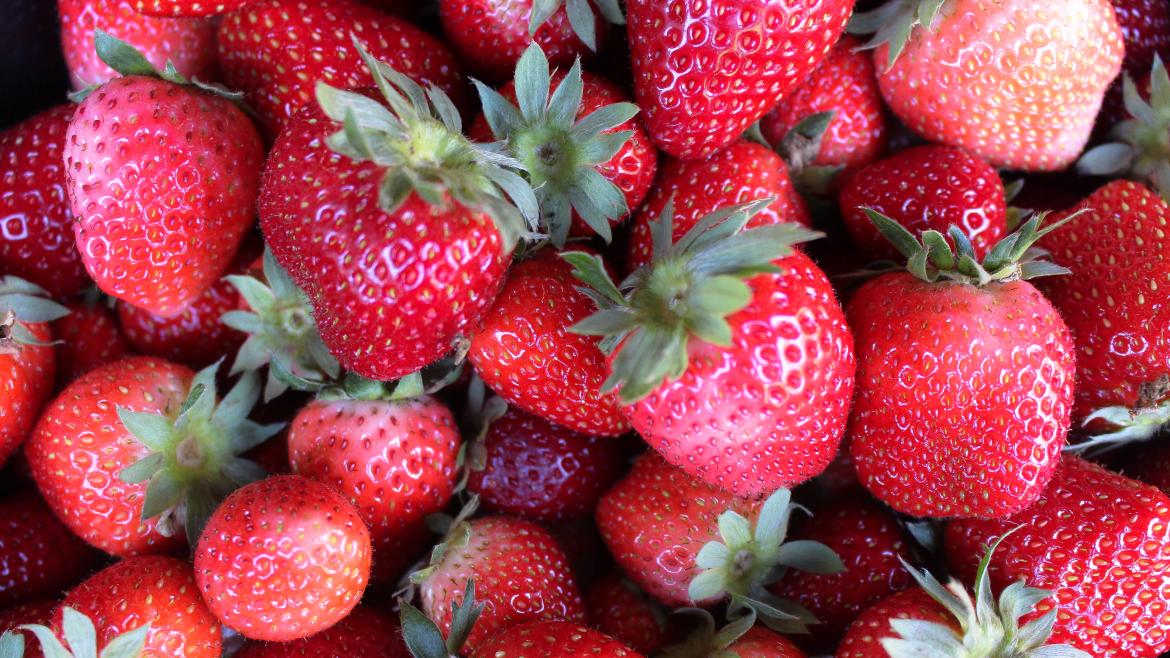 La Comunidad de Madrid incluirá en sus sellos de calidad las fresas y espárragos de Aranjuez, el