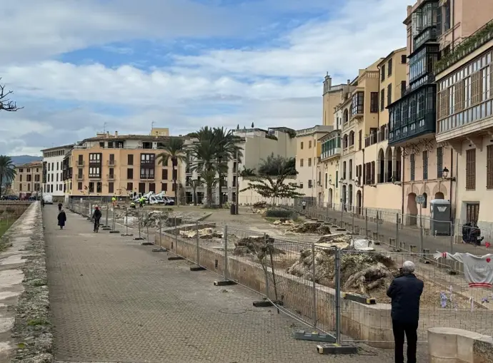 Cort reemplazará los bellasombra talados en la plaza Llorenç Villalonga con olivos, encinas y
