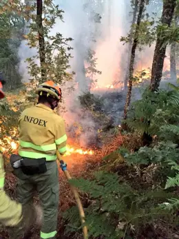 Las pruebas para 195 bomberos forestales y 29 agentes del Medio Natural en Extremadura serán en