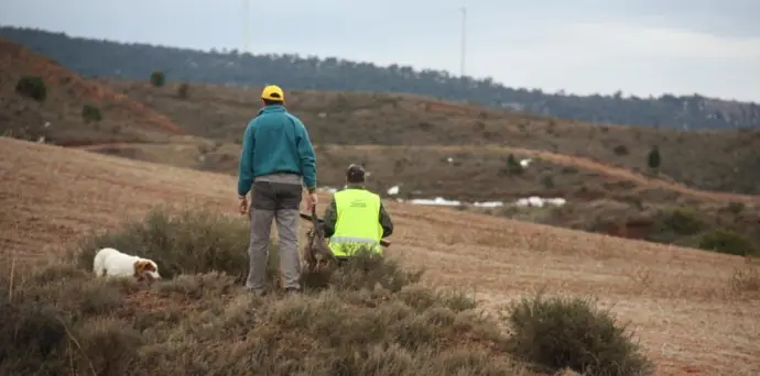 Más de 3.100 jabalíes cazados en febrero para salvaguardar el cerdo aragonés de la peste africana