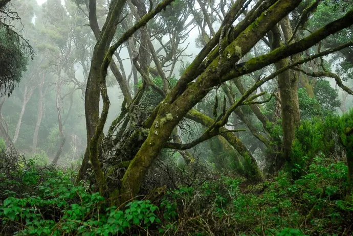 Cierre de vías y senderos en El Hierro desde este miércoles por la llegada de Therese como medida