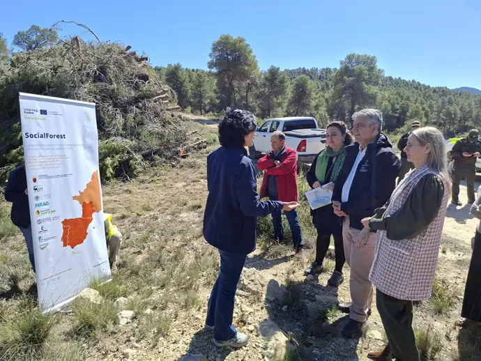 CARM lanza en Cehegín un proyecto piloto para adaptar los pinares al cambio climático y prevenir