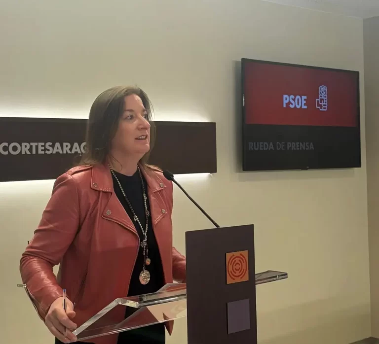 Rodrigo (PSOE) señala que la mala gestión de Azcón repercute en la sanidad de los aragoneses