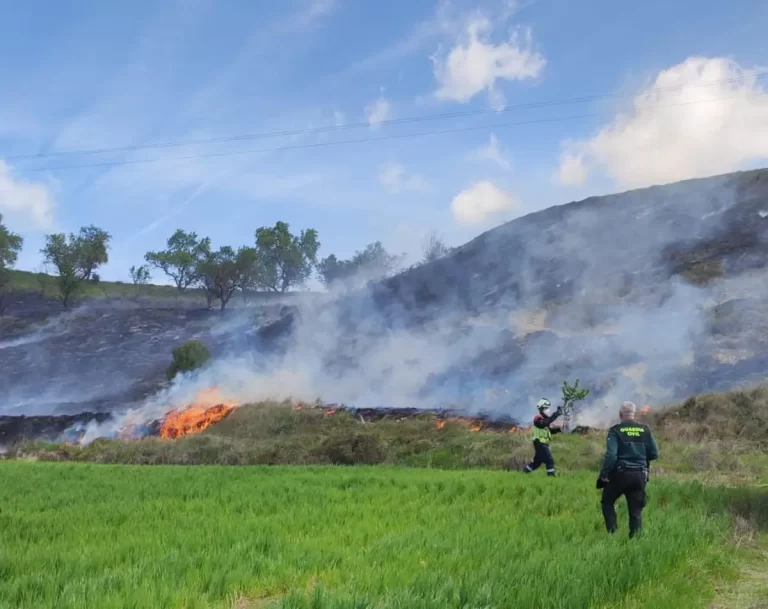 Incendio de vegetación controlado en Lerín, evitando daños mayores en la zona afectada por el