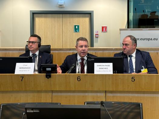 Castilla-La Mancha asumirá la vicepresidencia del Intergrupo del medio ambiente y cambio climático