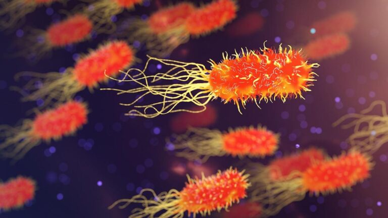 El Hospital Ramón y Cajal obtiene una ayuda de investigación de la Fundación ‘la Caixa’ para