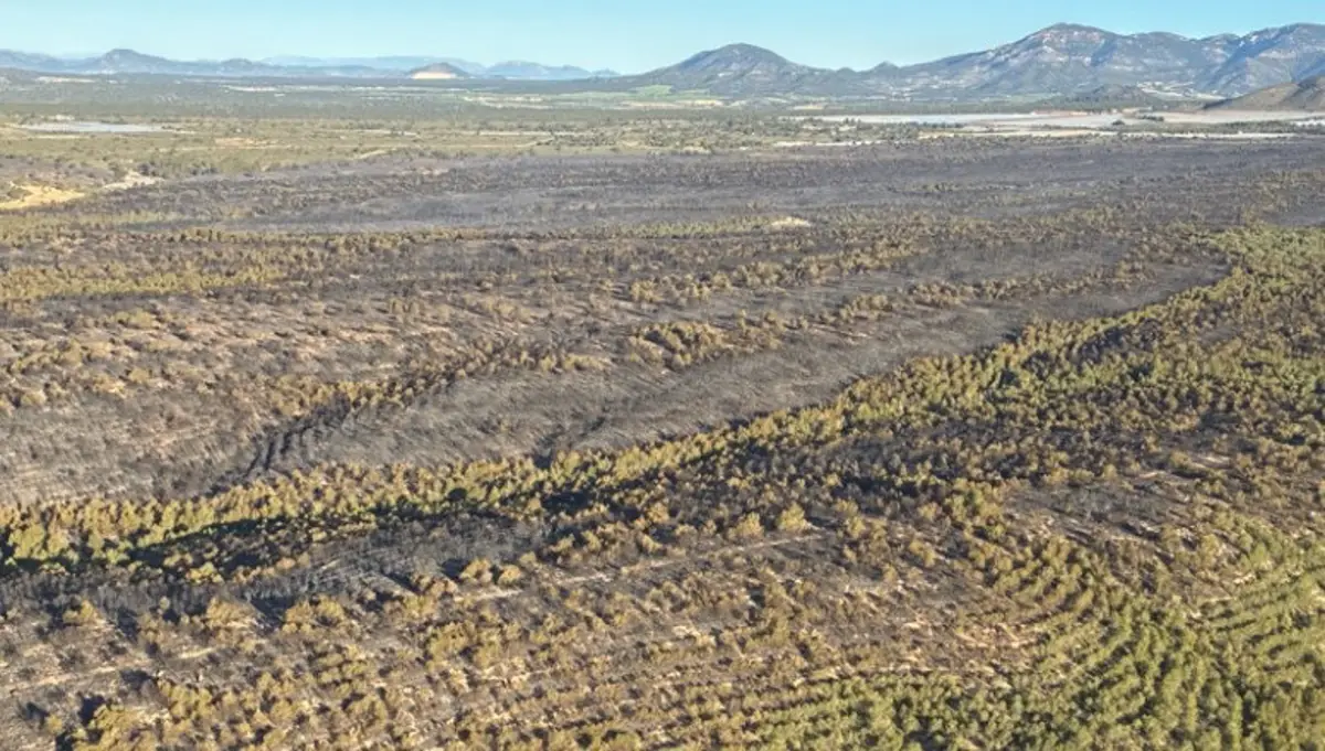 Se apaga el incendio en Sierra Espuña, afectando 436 hectáreas de terreno forestal