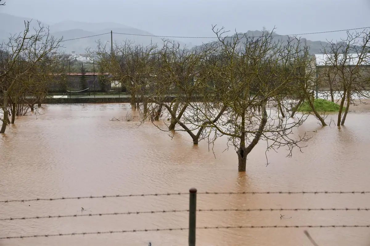 Resolución sobre el exceso de lluvias como fuerza mayor en la PAC publicada en el DOE