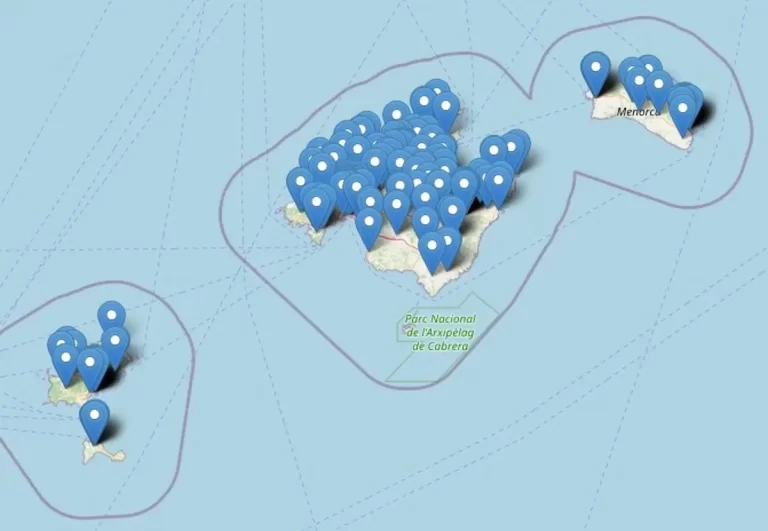 El IbDona elabora un mapa interactivo de recursos y servicios para víctimas de violencia machista