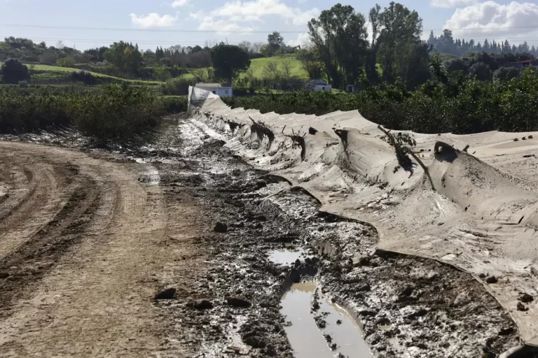 El Ministerio de Agricultura publica una lista inicial de 876 beneficiarios de ayudas por borrascas