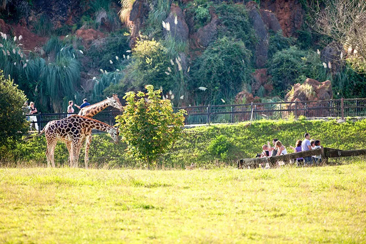 Cabárceno recibe este primero de mayo a 6.375 visitantes en una jornada de gran afluencia