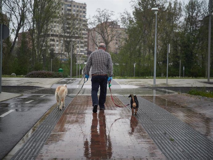 Archivo - Una persona mayor pasea con sus perros.
