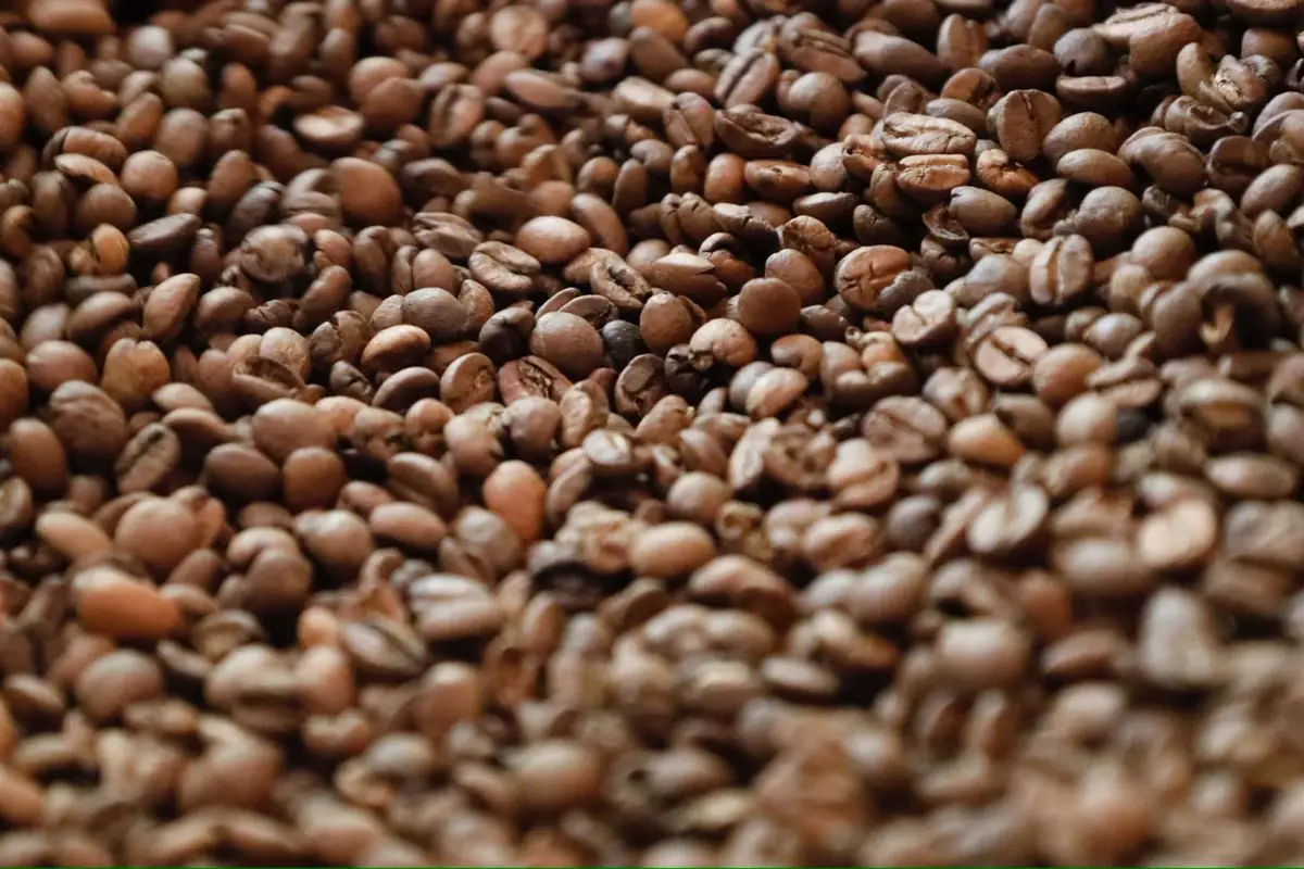 Agroagaete busca impulsar la innovación para fortalecer la competitividad del sector agrícola