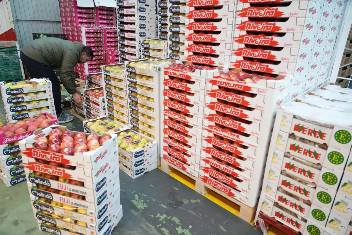 El número de nuevas empresas en Castilla y León aumenta un 24% en marzo