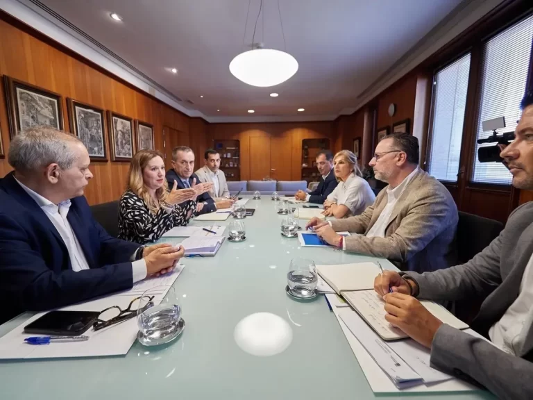 Cabildo de Tenerife y educación facilitan la creación de sombras en 51 centros del sur para el