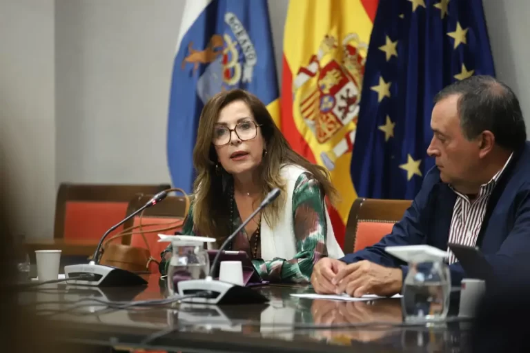 La diputada del común critica un sistema de derechos sociales dependiente de familias y el tercer
