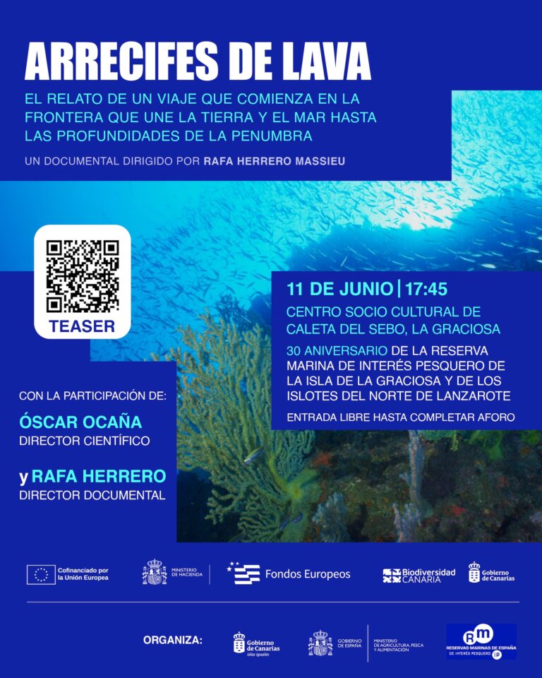 El Gobierno de Canarias conmemora el 30º aniversario de las reformas en educación y salud pública