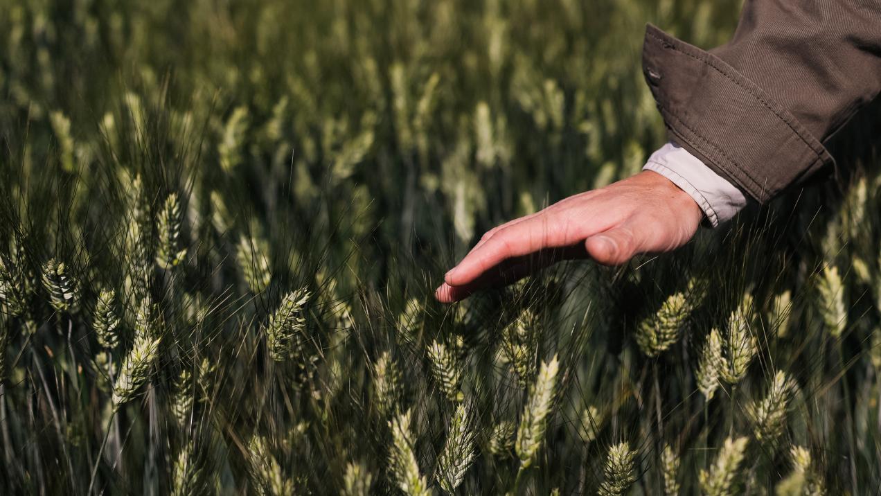 La Comunidad de Madrid lanza los primeros Premios de Medio Ambiente para valorar iniciativas de