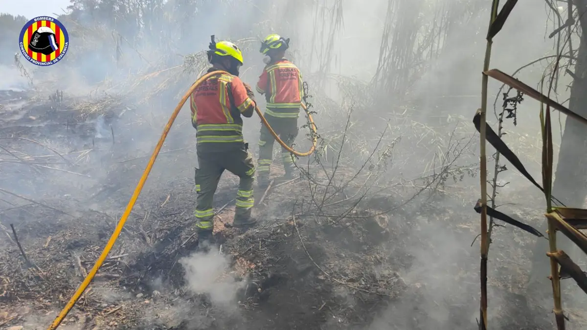 Medios aéreos y terrestres luchan contra un incendio en Estivella y 'Whispers in May' en Cinema