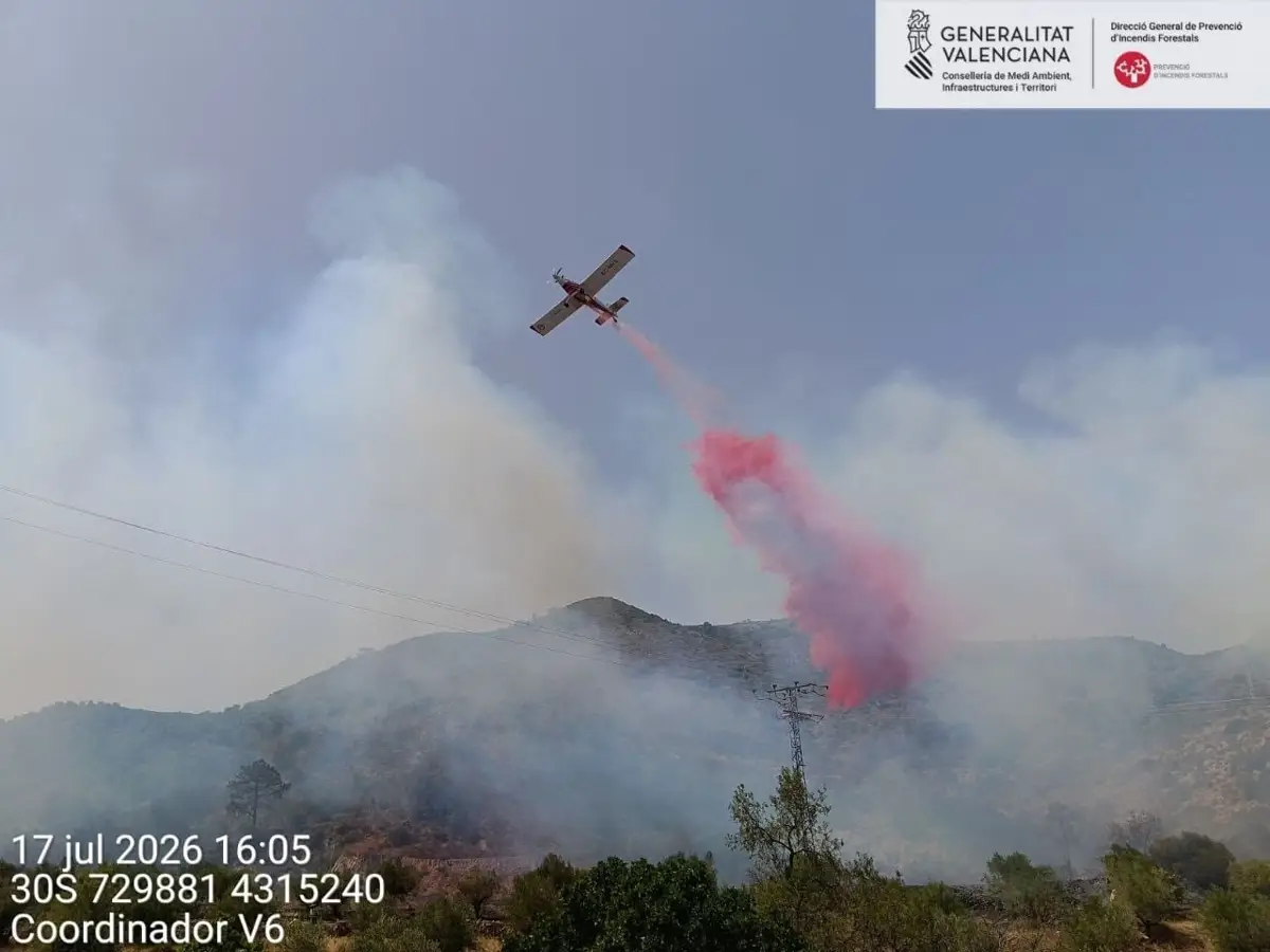 Incendio de Llutxent, originado en una planta de biomasa, fue extinguido tras afectar el bosque