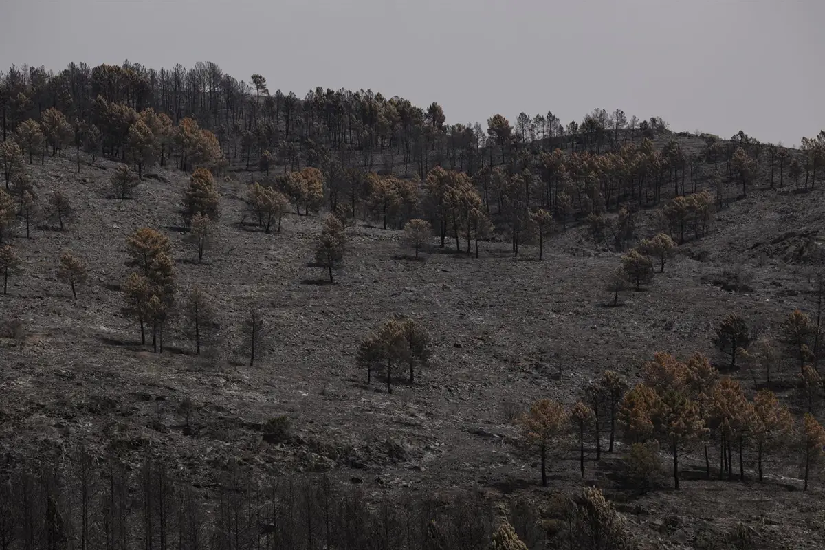 PSOE critica al PP por rechazar pacto climático y acusa de obstaculizar el progreso ambiental