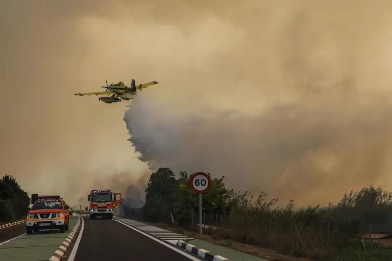 El incendio en El Saler mantiene cerrada la carretera CV
