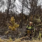 Controlado el incendio en El Saler y concentración en apoyo a las víctimas de Mazón