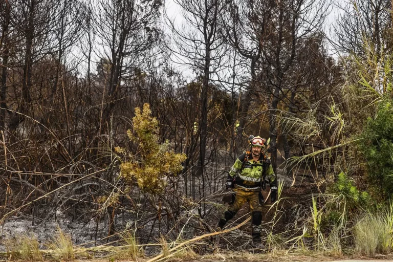 Controlado el incendio en El Saler y concentración en apoyo a las víctimas de Mazón