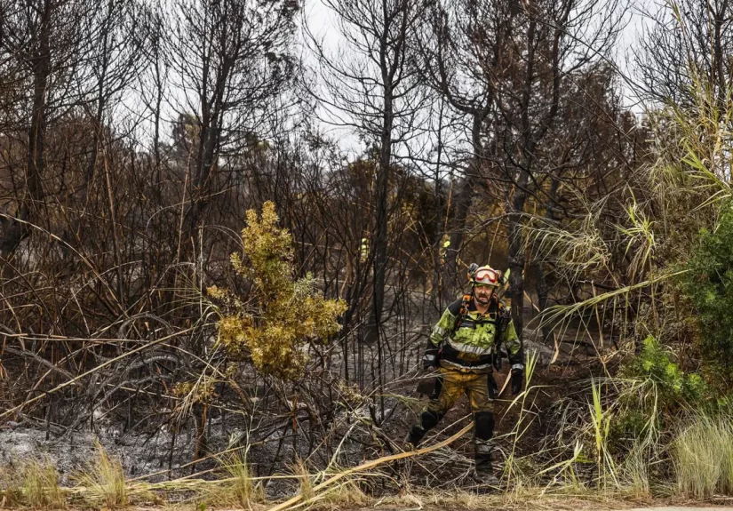 Controlado el incendio en El Saler y concentración en apoyo a las víctimas de Mazón